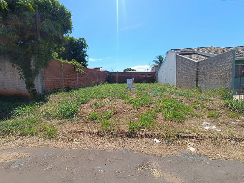 TERRENOS, Avenida Principal