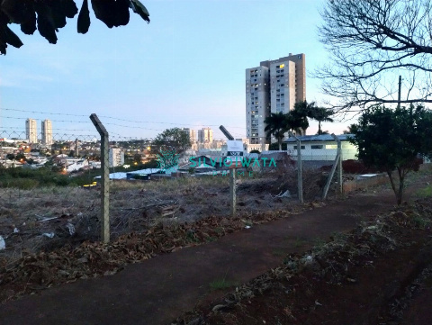 TERRENOS, Rua Pioneiro Alberto Biazon