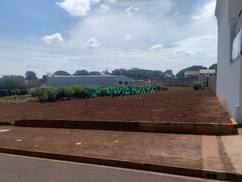 TERRENOS, Rua Olímpio Totti