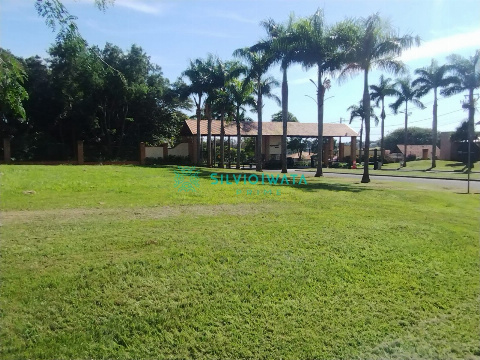 TERRENOS, Rodovia Pr 317