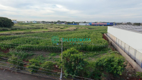 TERRENOS, Avenida Doutor Vladimir Babkov