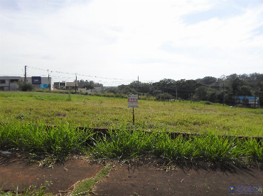 Terreno Comercial para Venda em Maringá - PR, Jd Canadá