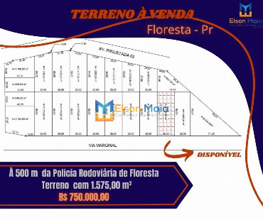 Terreno Comercial para Venda em Floresta - PR, Marginal - PR 317