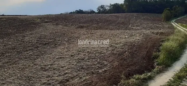 Terrenos à venda em Zona Rural Rio Azul - PR - 45820012710 | Sub100 Imóveis