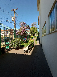 Apartamento para Locação em Londrina - PR, Vl Shimabokuro