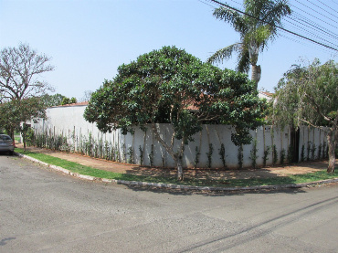CASAS, Rua Procópio Ferreira