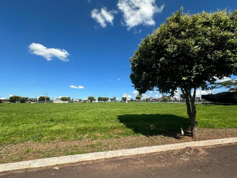 TERRENOS, Rua Javali