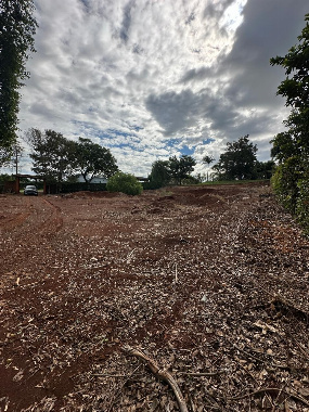 TERRENOS, Estrada Zauna