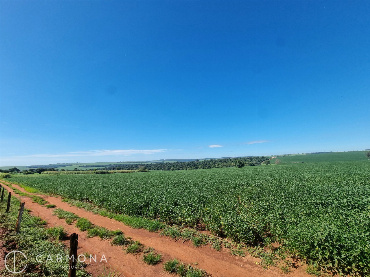 Fazenda para Venda em Presidente Castelo Branco - PR, Fazenda