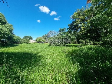 Terreno Comercial para Venda em Sarandi - PR, Jd Verão