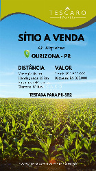 Terreno Comercial para Venda em Ourizona - PR, Geral