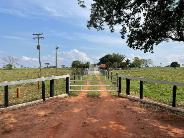Chácara para Venda em Terra Rica - PR, Área Rural