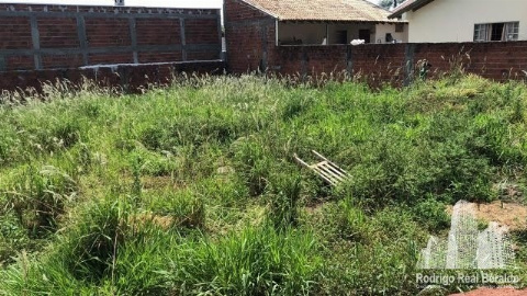 Terreno para Venda em Cianorte - PR, Jd Mafra I