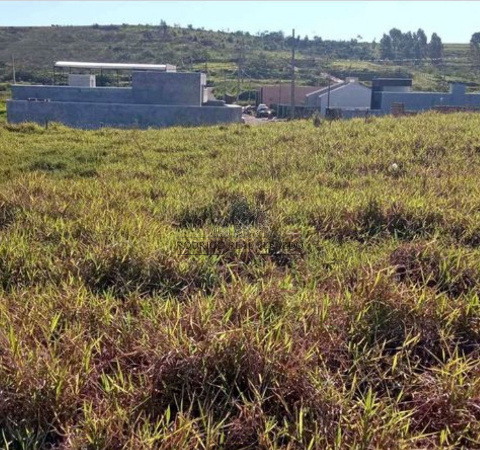 Terreno para Venda em Mandaguaçu - PR, Jd Tropical
