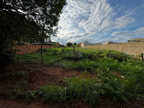 Terreno para Venda em Rosana - SP, Centro