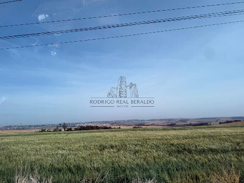 Sítio para Venda em Marialva - PR, Área Rural