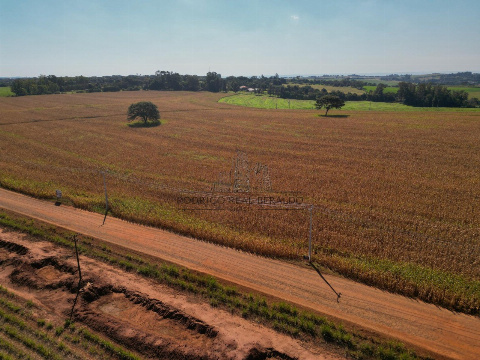 Sítio para Venda em Maringá - PR, Distrito de Iguatemi (Iguatemi)