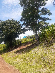 Chácara em Área de Lazer para Venda em Mandaguari - PR, Jd Boa Vista