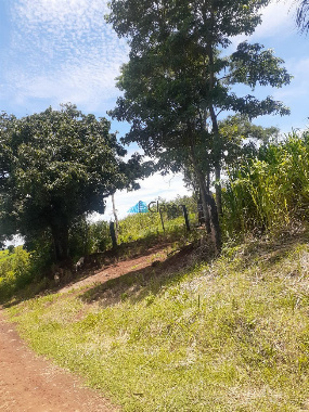 CHÁCARAS, Rua Rene Taccola