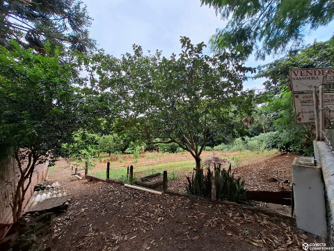 TERRENOS, Rua Ataulfo Alves