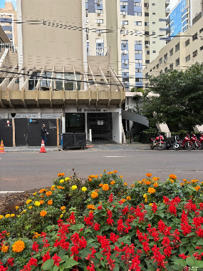 APARTAMENTOS, Avenida Paraná