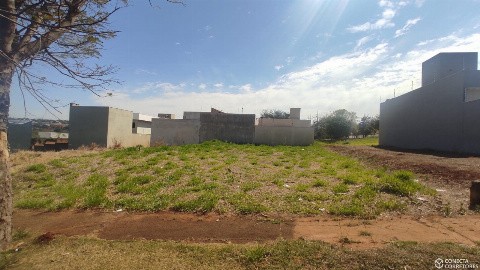 TERRENOS, Rua Pioneiro Exaltino Pereira Boa Sorte