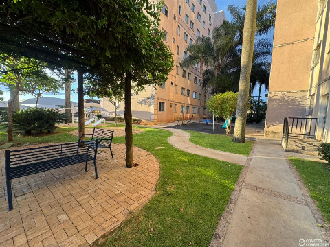 APARTAMENTOS, Avenida Doutor Alexandre Rasgulaeff