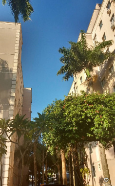 APARTAMENTOS, Avenida Doutor Alexandre Rasgulaeff