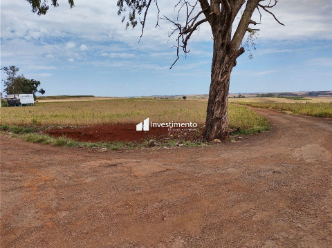 TERRENOS, Rodovia Pr445