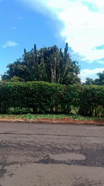 TERRENOS, Rua Carlos Pavan