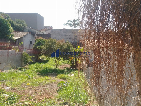 TERRENOS, Rua Purus