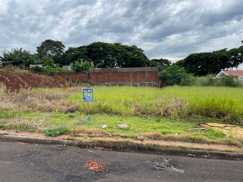 TERRENOS, Rua Pioneiro Masizi Inumaru