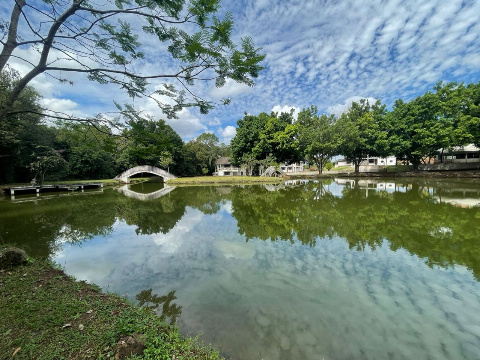 CHÁCARAS, Rodovia Pr 317