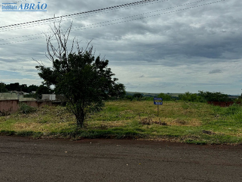 TERRENOS, Rua Pioneiro Ovídio Biaggi