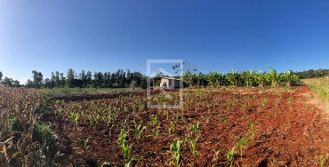 CHÁCARAS, Estrada Morangueira