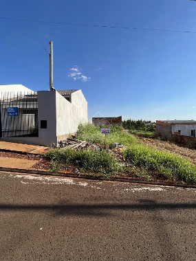 TERRENOS, Rua Pioneiro Duílio Storti