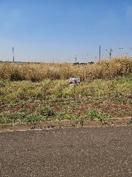 Terreno Comercial para Venda em Sarandi - PR, Pq Avenida