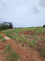 Chácara para Venda em Maringá - PR, Jd São Domingos