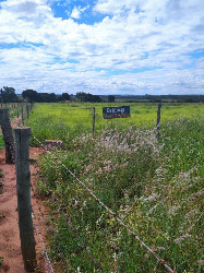 Sítio para Venda em Presidente Epitacio - SP, Área Rural