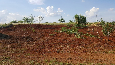 Terreno em Condomínio para Venda em Engenheiro Beltrão - PR, Mandijuba