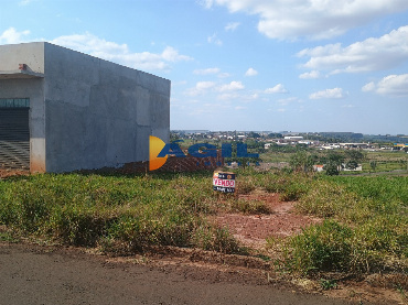 TERRENOS, Rua Victor Pacola