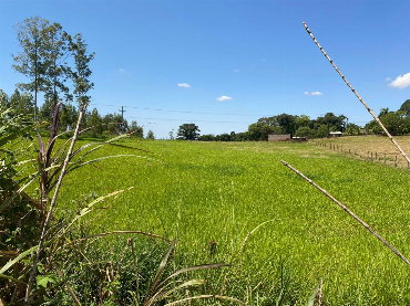CHÁCARAS, Estrada Para Floresta