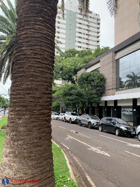 SALAS COMERCIAIS, Avenida Duque de Caxias