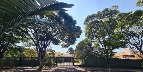 CASAS, Rua Vereador Nelson Abrão