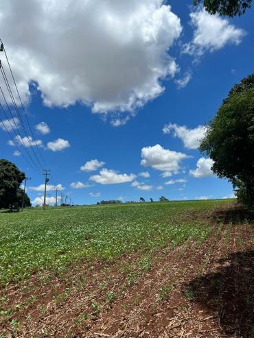 Chácara para Venda em Maringá - PR, Não Informado