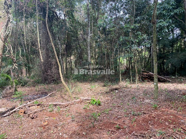 Chácara para Venda em Cascavel - PR, São Salvador