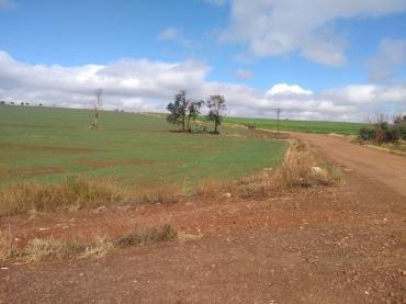 SÍTIOS, ESTRADA GUAIAPÓ