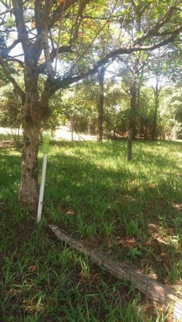 Chácara para Venda em Maringá - PR, Distrito de Iguatemi