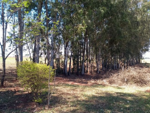 CHÁCARAS, Gleba Colombo