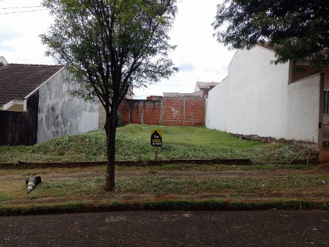 TERRENOS, Rua Elísia Galhoto Weitz